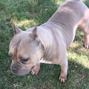 Meet your Posher, Darick